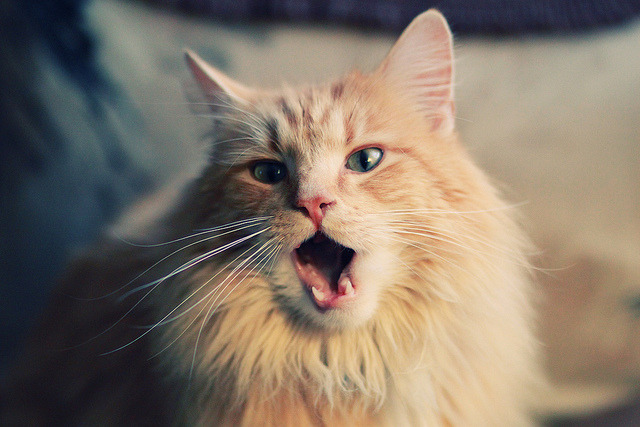 全国青少年“篮球趣味挑战”赛在青岛精彩展开，推广全民健身，青少年篮球邀请赛