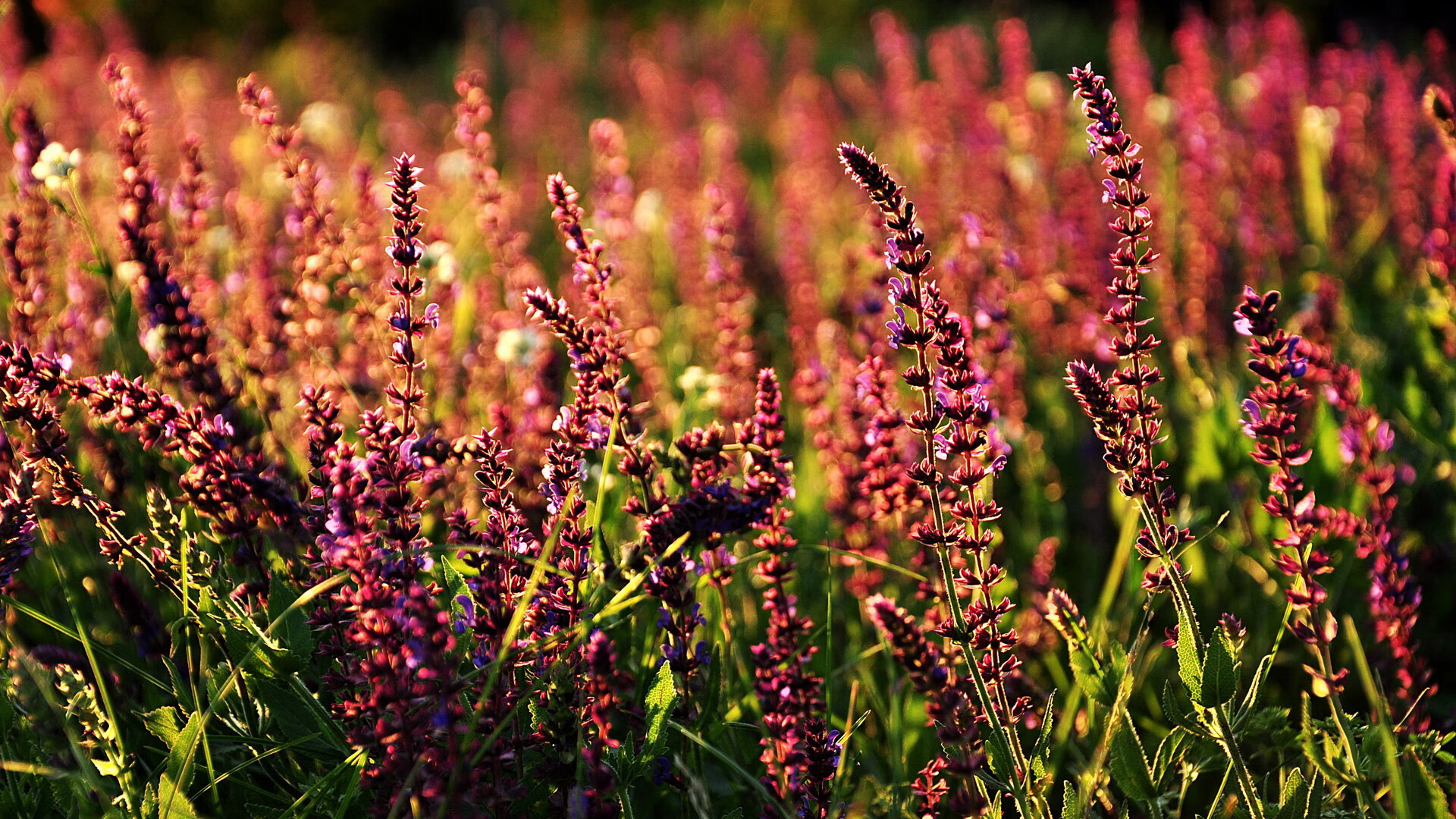 开云网站-史上“最爆炸”的逆转奇迹，谁能超越？，最厉害的爆炸是什么爆炸